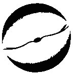 pel13